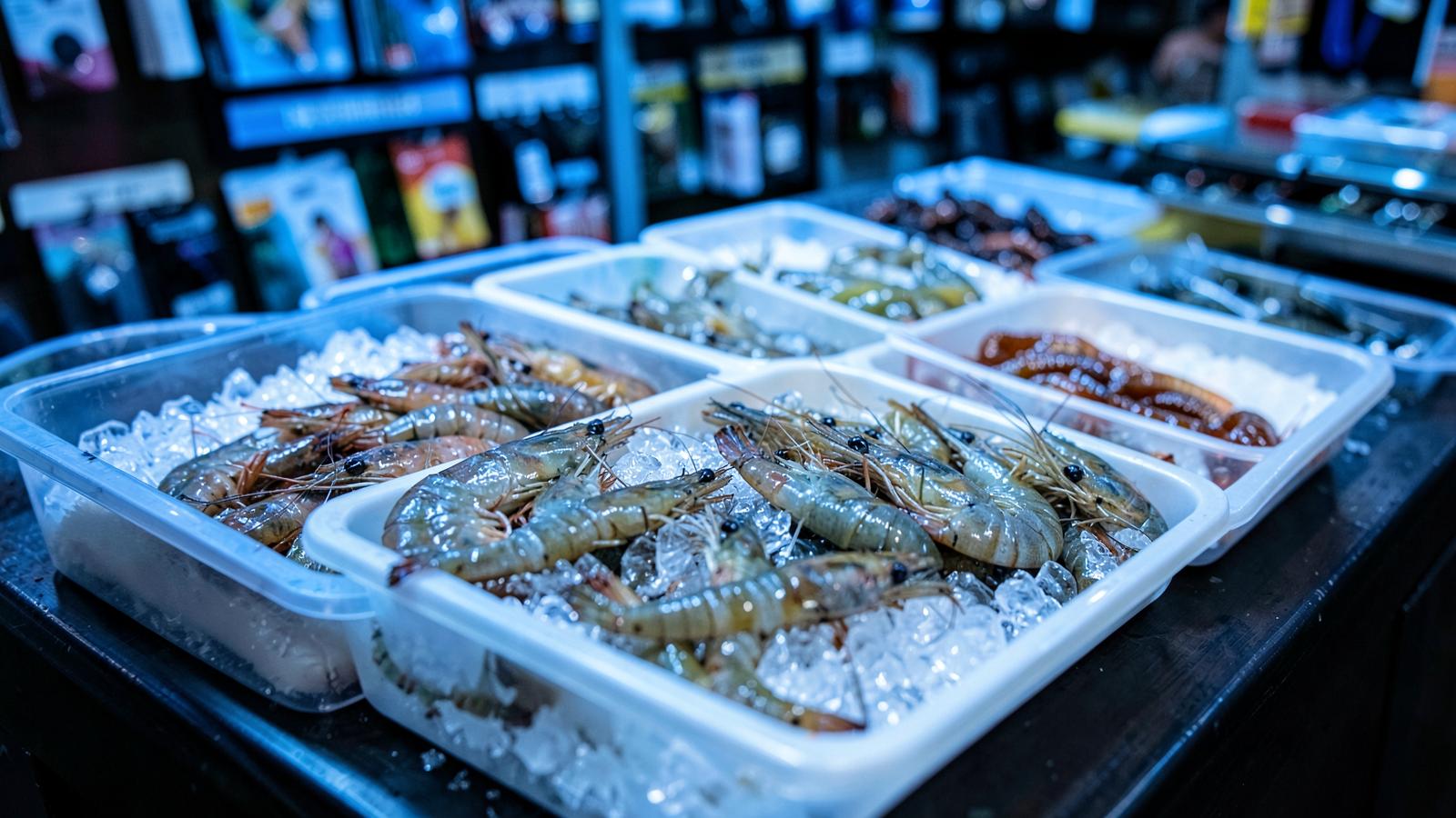 Trays of fresh bait on ice